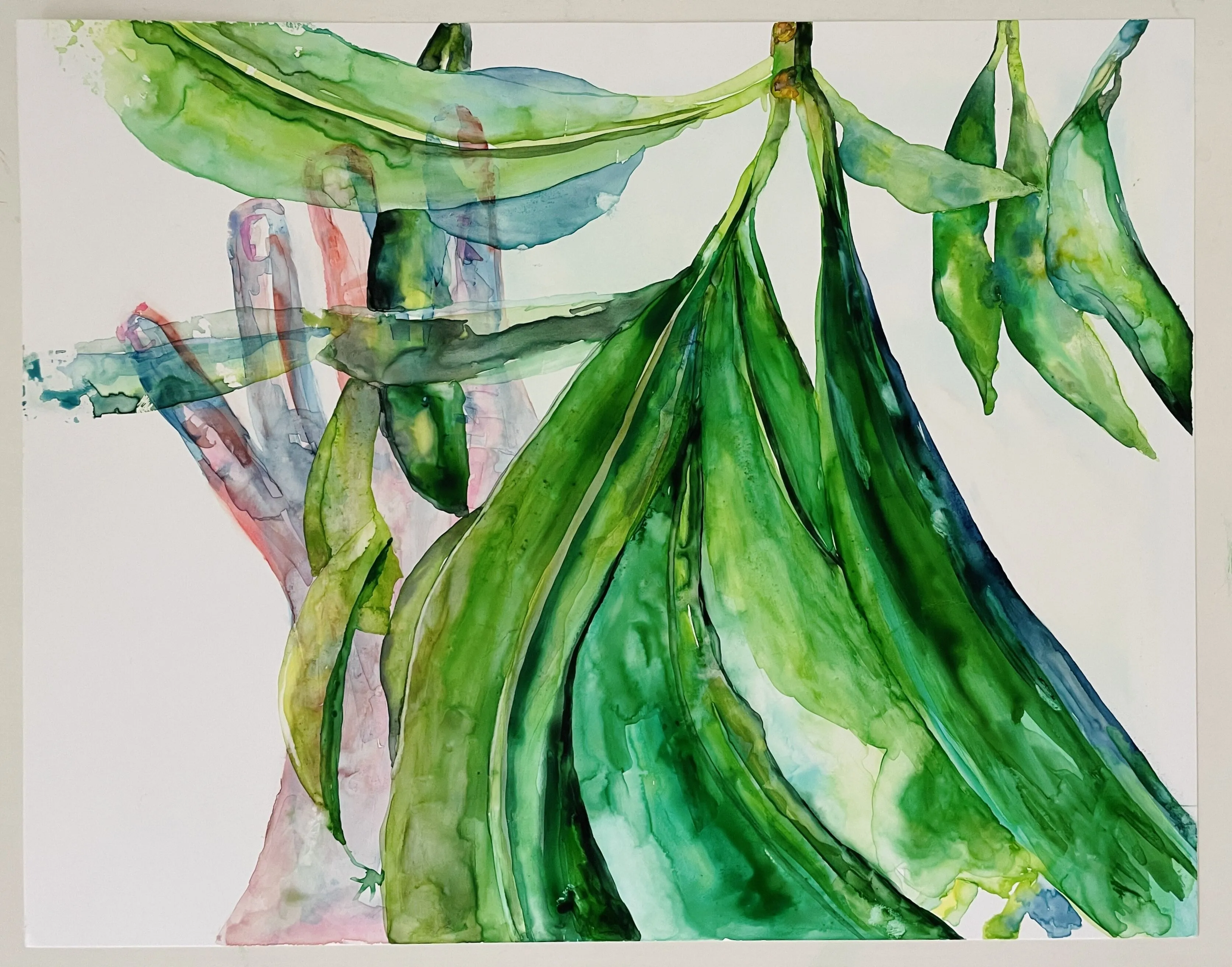 ciardiellobrenda_disfruto_-malus-domestica.jpg