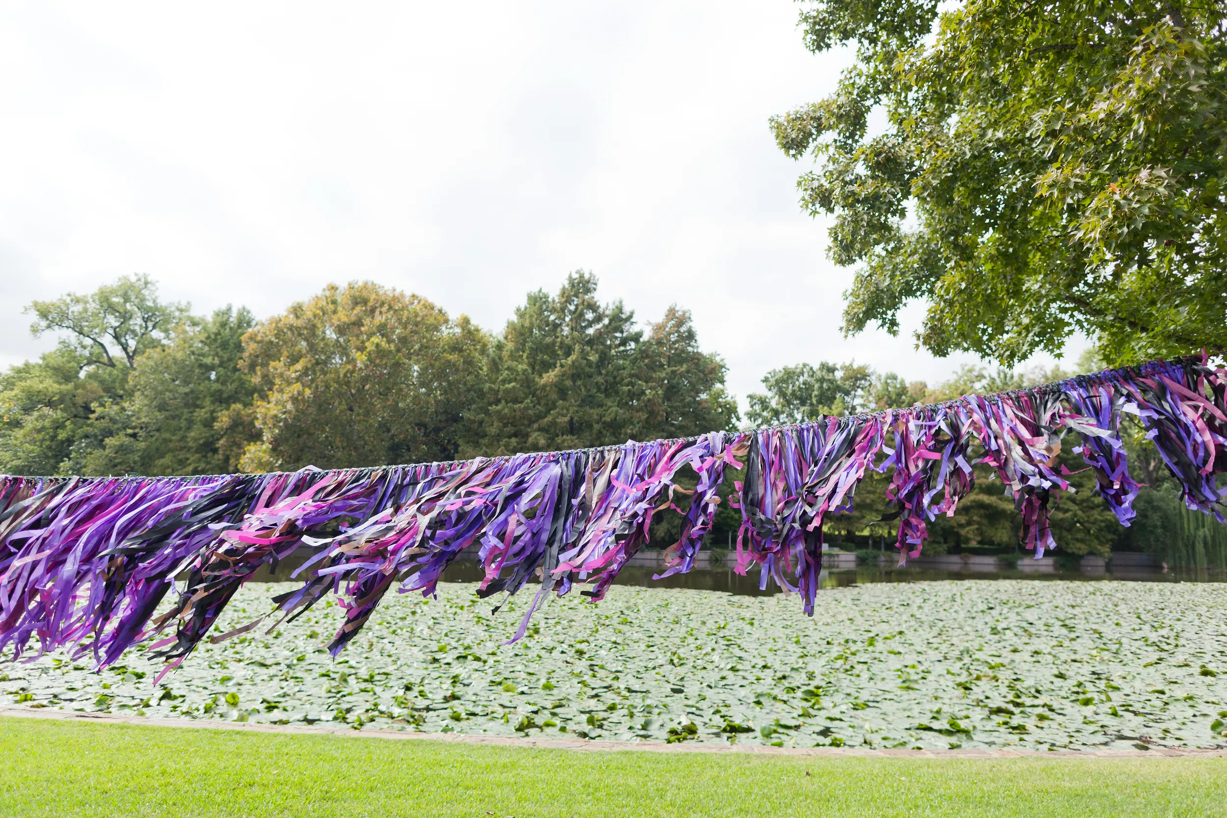 CC_HPcentennial_oct2013-52.jpg