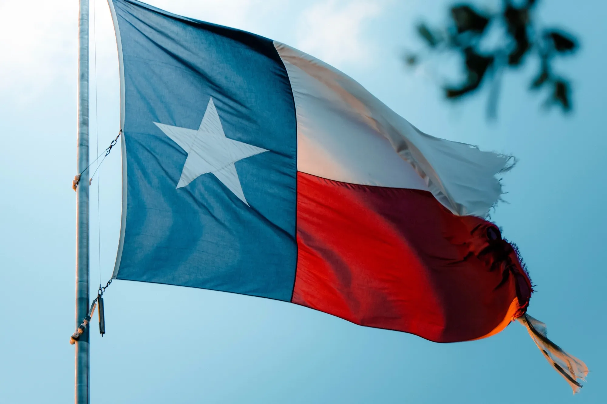 Texas Treasures