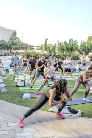 Drop In: The Fit Drop Wellness Series