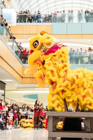 Celebrating the Year of the Snake