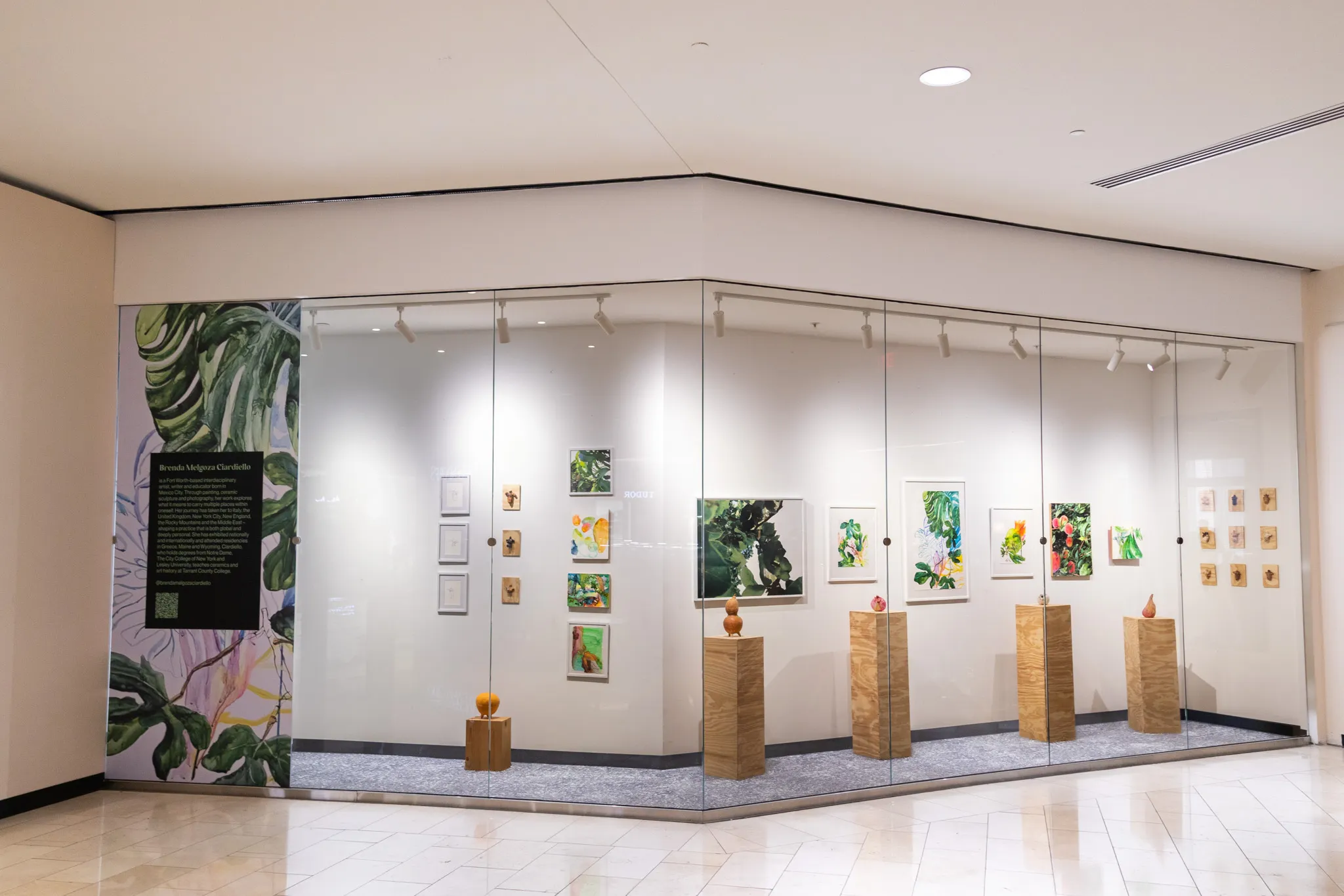 On Display: Brenda Melgoza Ciardiello