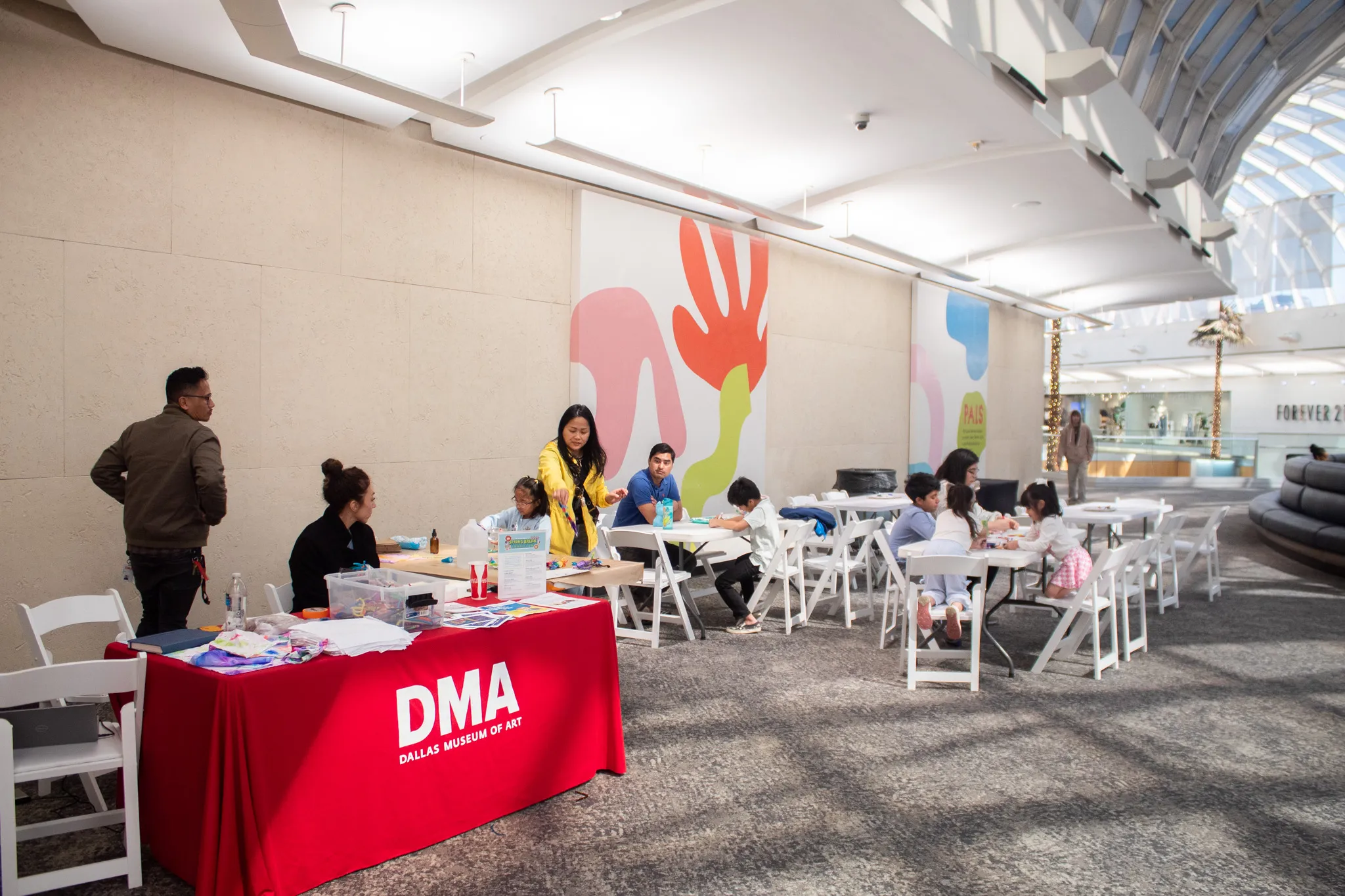 Artmaking with the DMA