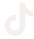 TikTok Icon